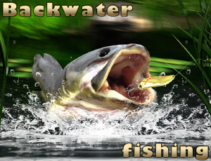 Backwater Fishing thumbnail