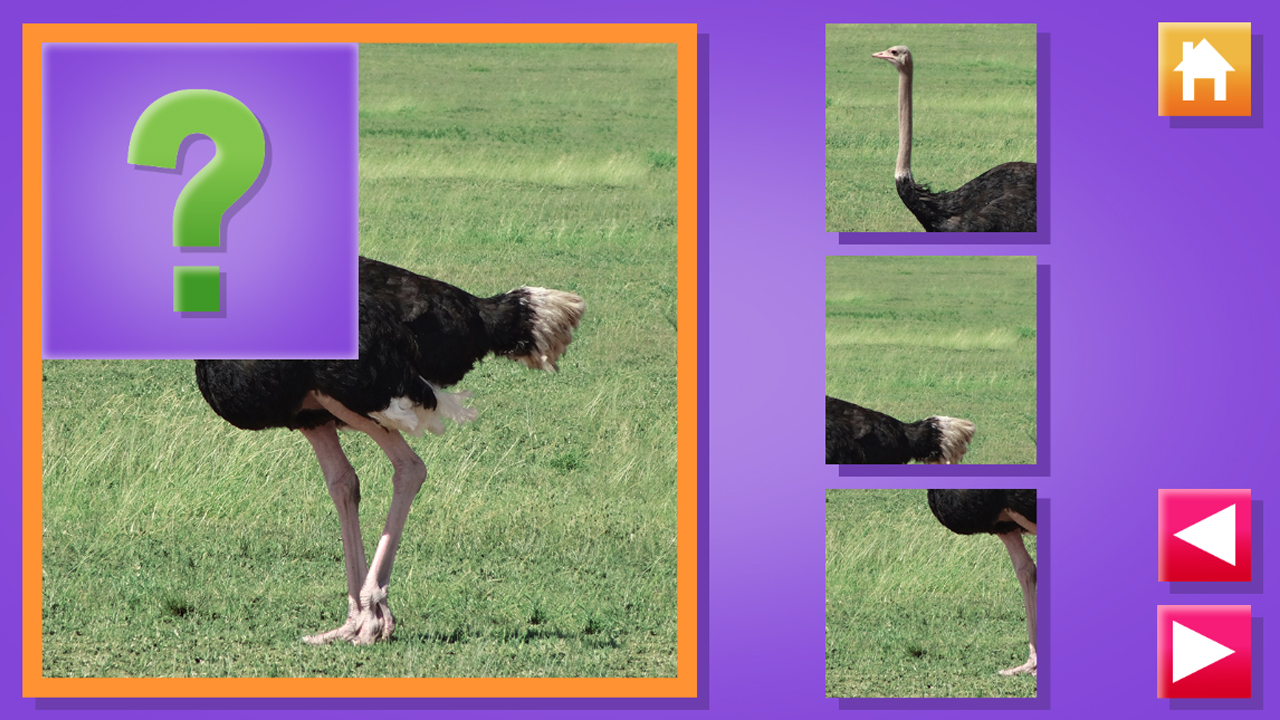 Animal Puzzle thumbnail