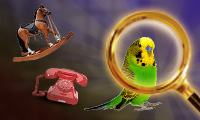 Hidden Object: Clues and Mysteries screenshot