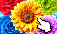 The Flowers: Merge and Sell Bouquets thumbnail