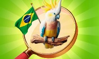 Hidden Objects: Vacation in Brazil screenshot