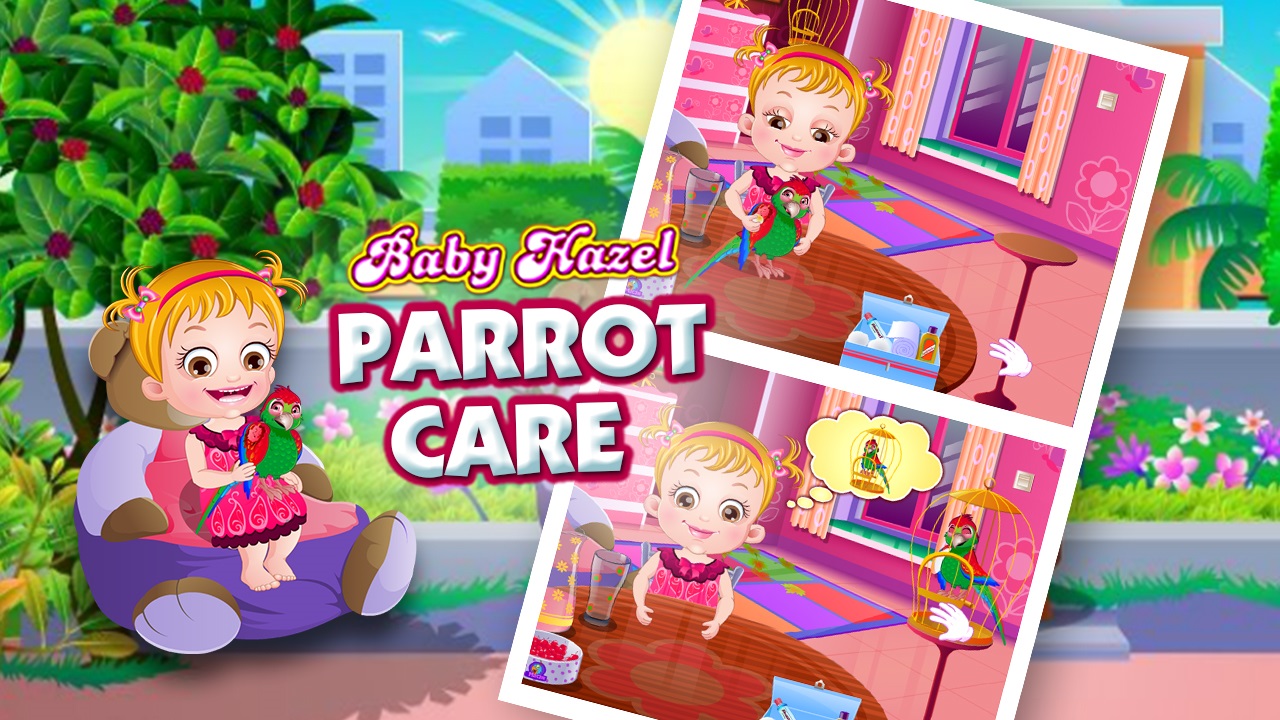 Baby Hazel Parrot Care thumbnail