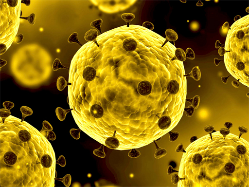 Coronavirus Slide thumbnail