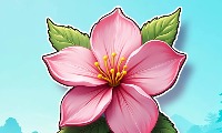 Sacura Branch thumbnail