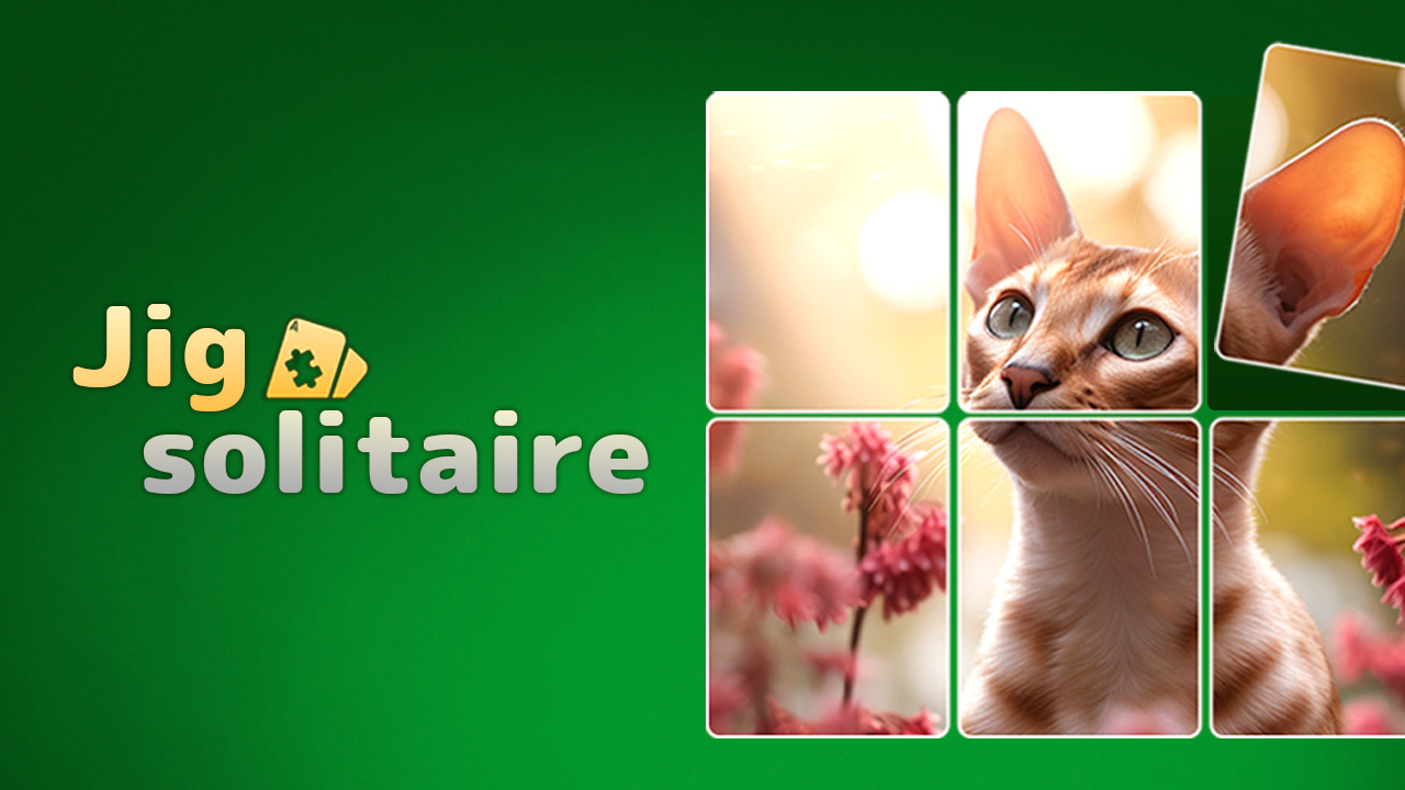 Image Jigsolitaire